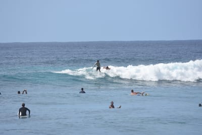 DSC_9978.JPG