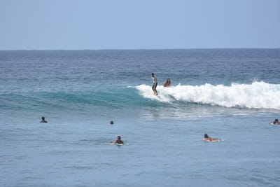 DSC_9979.JPG