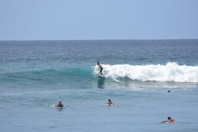 DSC_9980.JPG