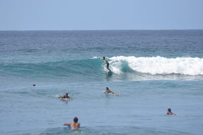 DSC_9981.JPG