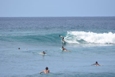 DSC_9982.JPG