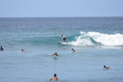 DSC_9983.JPG