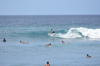 DSC_9984.JPG