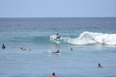 DSC_9985.JPG