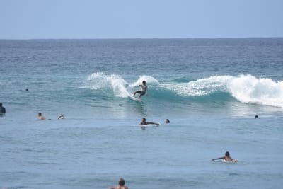 DSC_9987.JPG