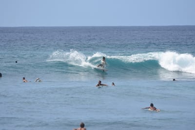DSC_9988.JPG