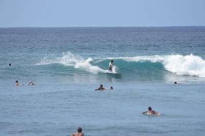 DSC_9989.JPG