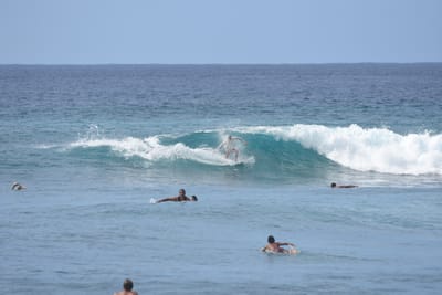DSC_9990.JPG
