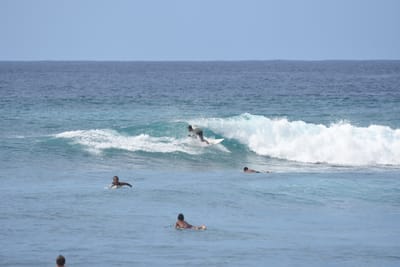 DSC_9991.JPG