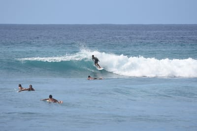 DSC_9992.JPG