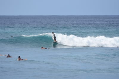 DSC_9993.JPG