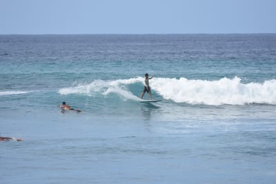 DSC_9995.JPG