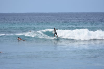 DSC_9996.JPG