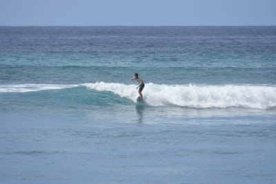 DSC_9998.JPG