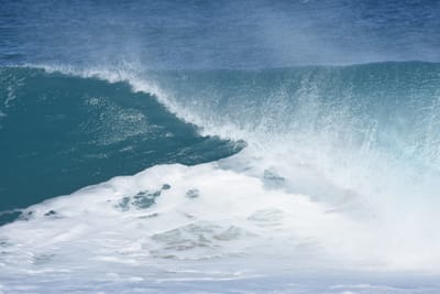 DSC_0249.JPG