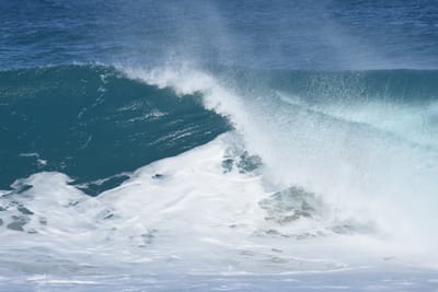 DSC_0250.JPG