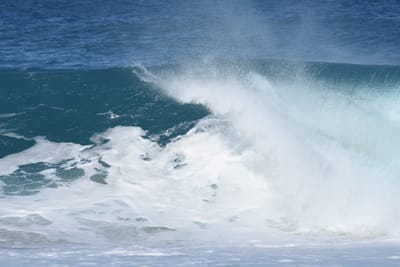 DSC_0251.JPG