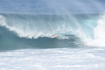 DSC_0311.JPG