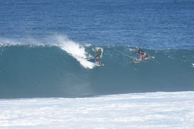 DSC_0316.JPG