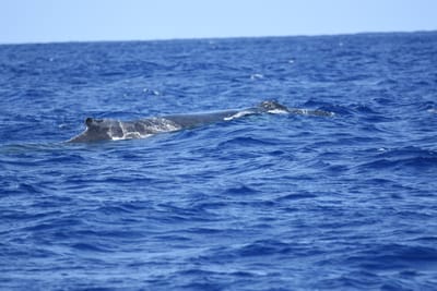 DSC_0329.JPG