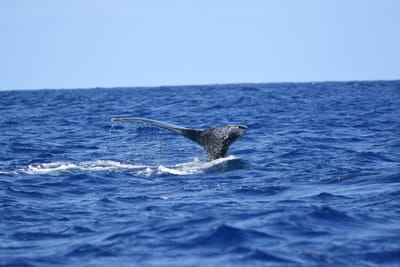 DSC_0346.JPG