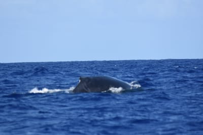 DSC_0354.JPG