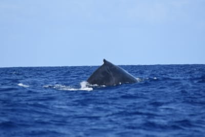 DSC_0357.JPG
