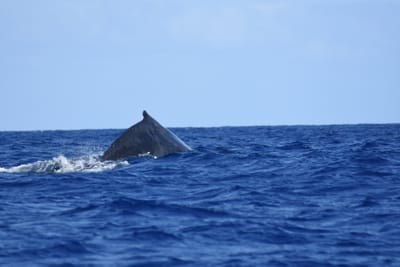 DSC_0359.JPG