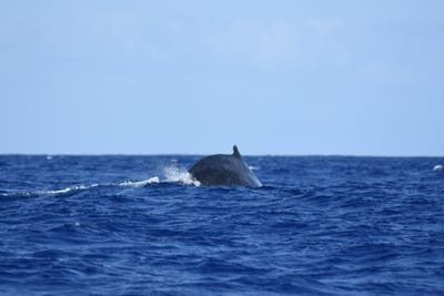DSC_0362.JPG