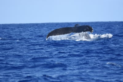 DSC_0366.JPG