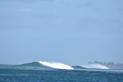 DSC_0375.JPG