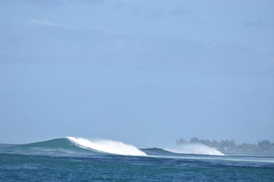 DSC_0376.JPG
