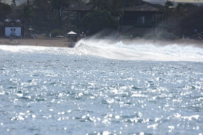 DSC_0379.JPG