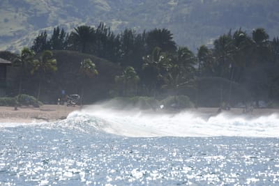 DSC_0382.JPG