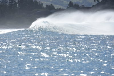 DSC_0383.JPG
