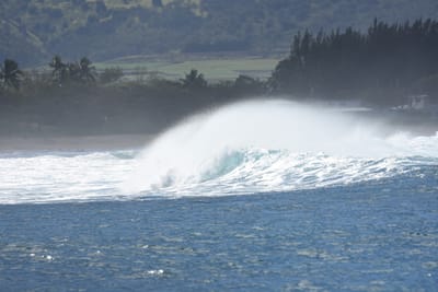 DSC_0384.JPG