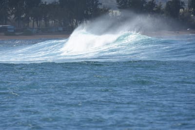 DSC_0385.JPG