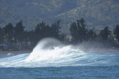 DSC_0386.JPG