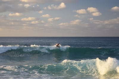 DSC_0442.JPG