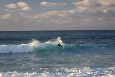 DSC_0443.JPG