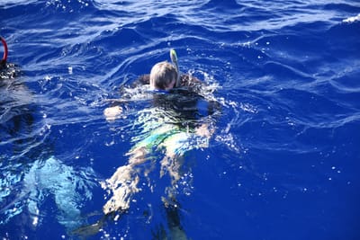 DSC_2554.JPG