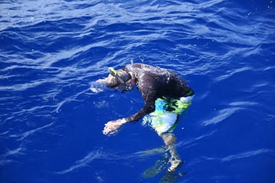 DSC_2555.JPG