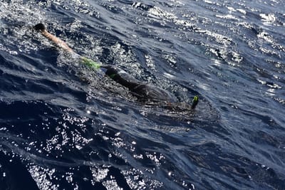 DSC_2582.JPG