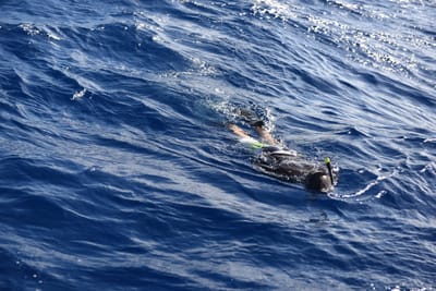 DSC_2584.JPG