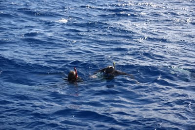 DSC_2588.JPG