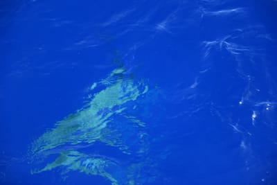 DSC_2589.JPG
