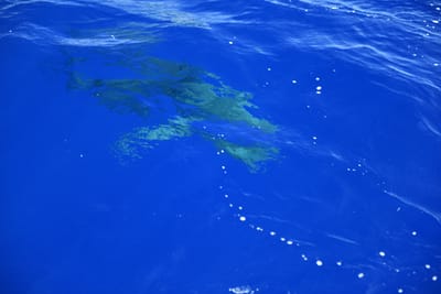 DSC_2592.JPG