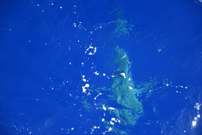 DSC_2596.JPG