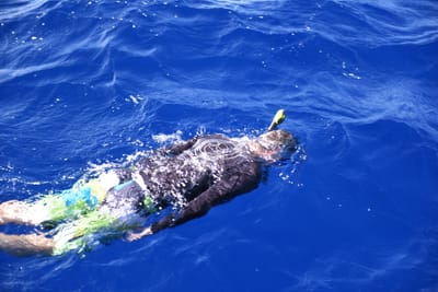 DSC_2600.JPG