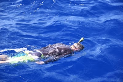 DSC_2601.JPG